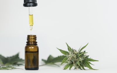 Aceite de CBD para la Ansiedad: Lo que Dicen los Estudios Científicos